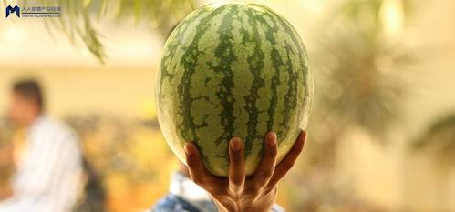 娱乐瓜吃瓜最新